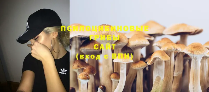 Галлюциногенные грибы Cubensis  как найти наркотики  KRAKEN маркетплейс  Салават 